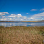 Marshes across from Horseneck Beach